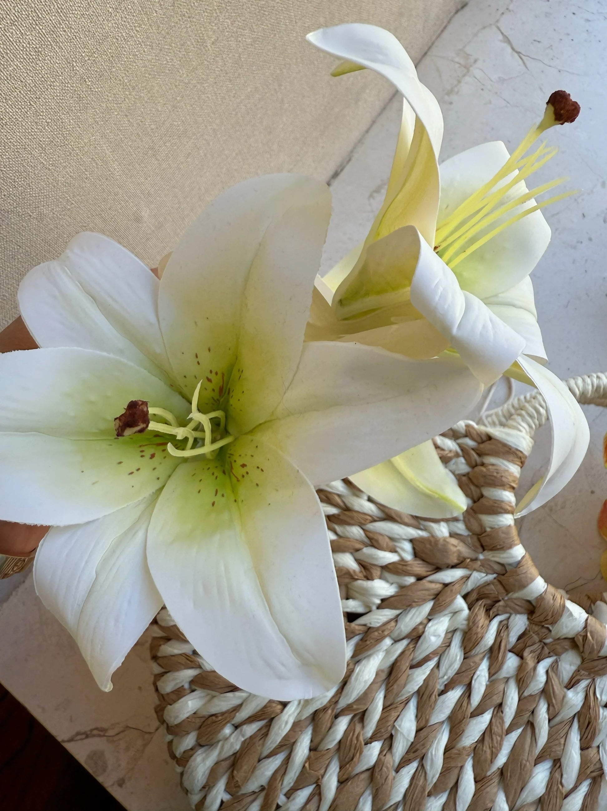 Maxwell Bloom Claw Clip - White Lily