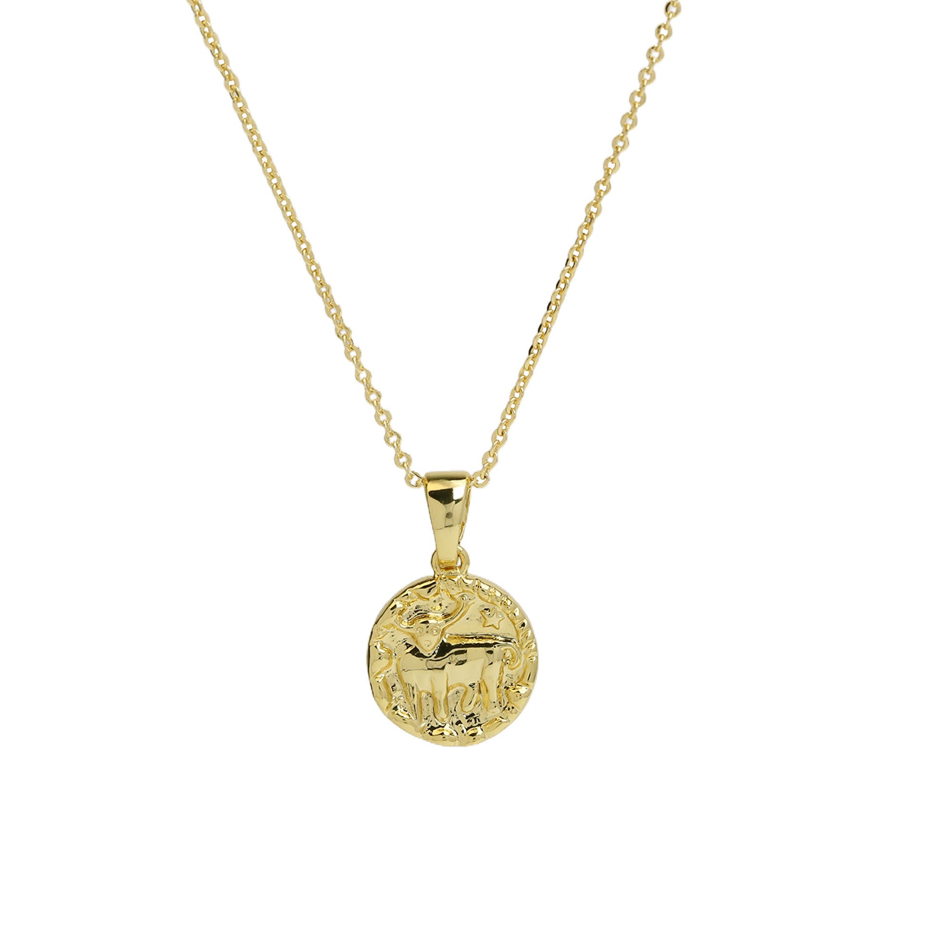 Anayah Zodiac Coin Necklace - Taurus [93RS0DTL]