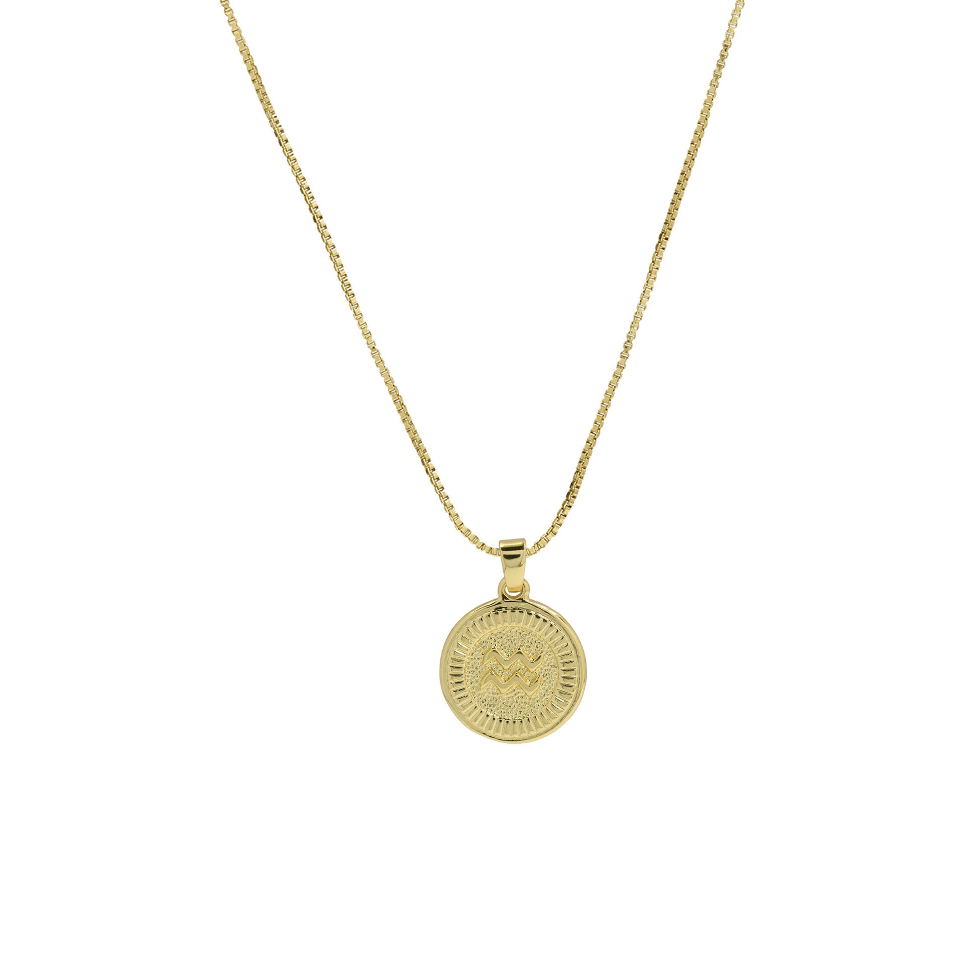 Maddelyn Zodiac Coin Necklace - Aquarius [G6FQ9C20]