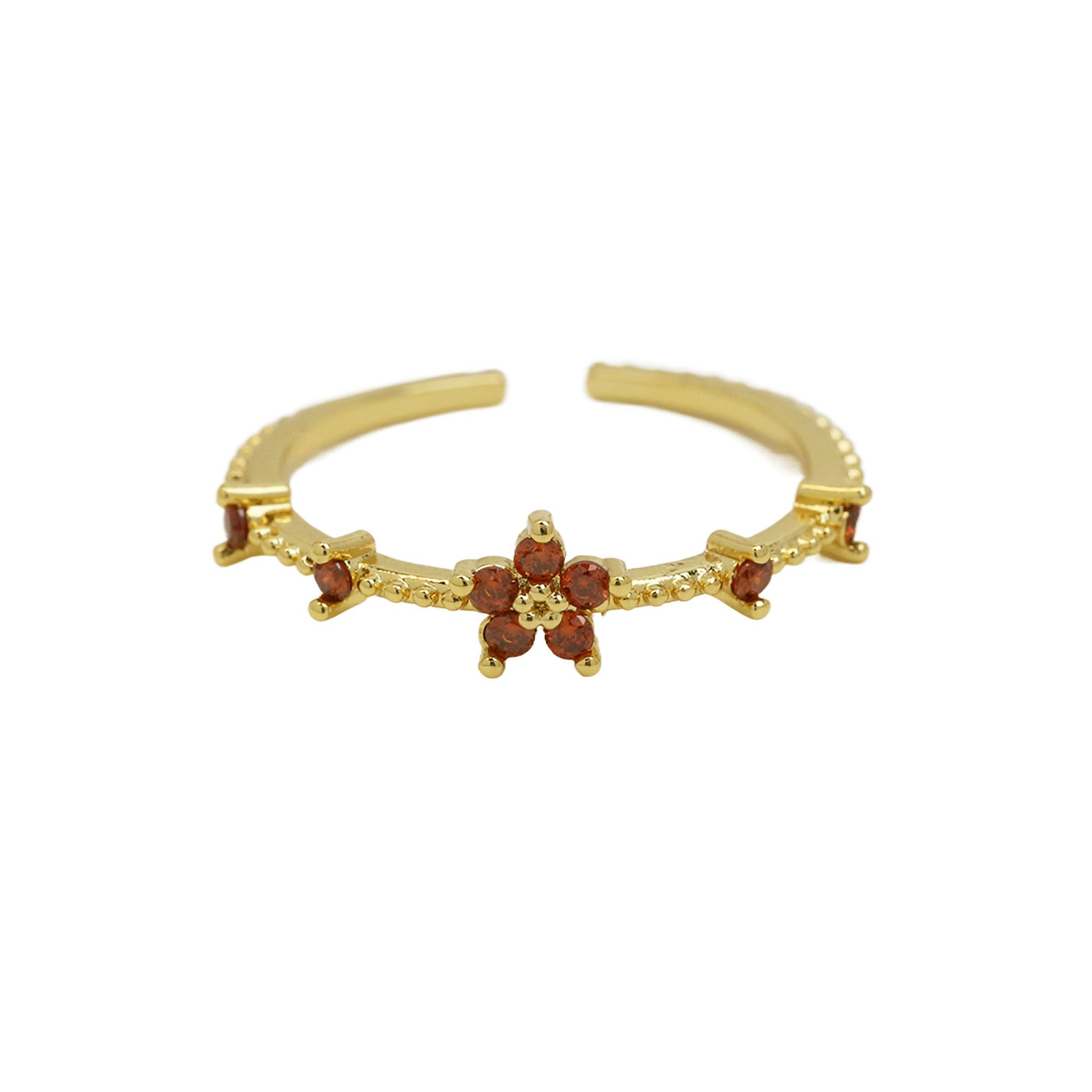 Mykah Floral Birthstone Ring - January [YKNFV12H]