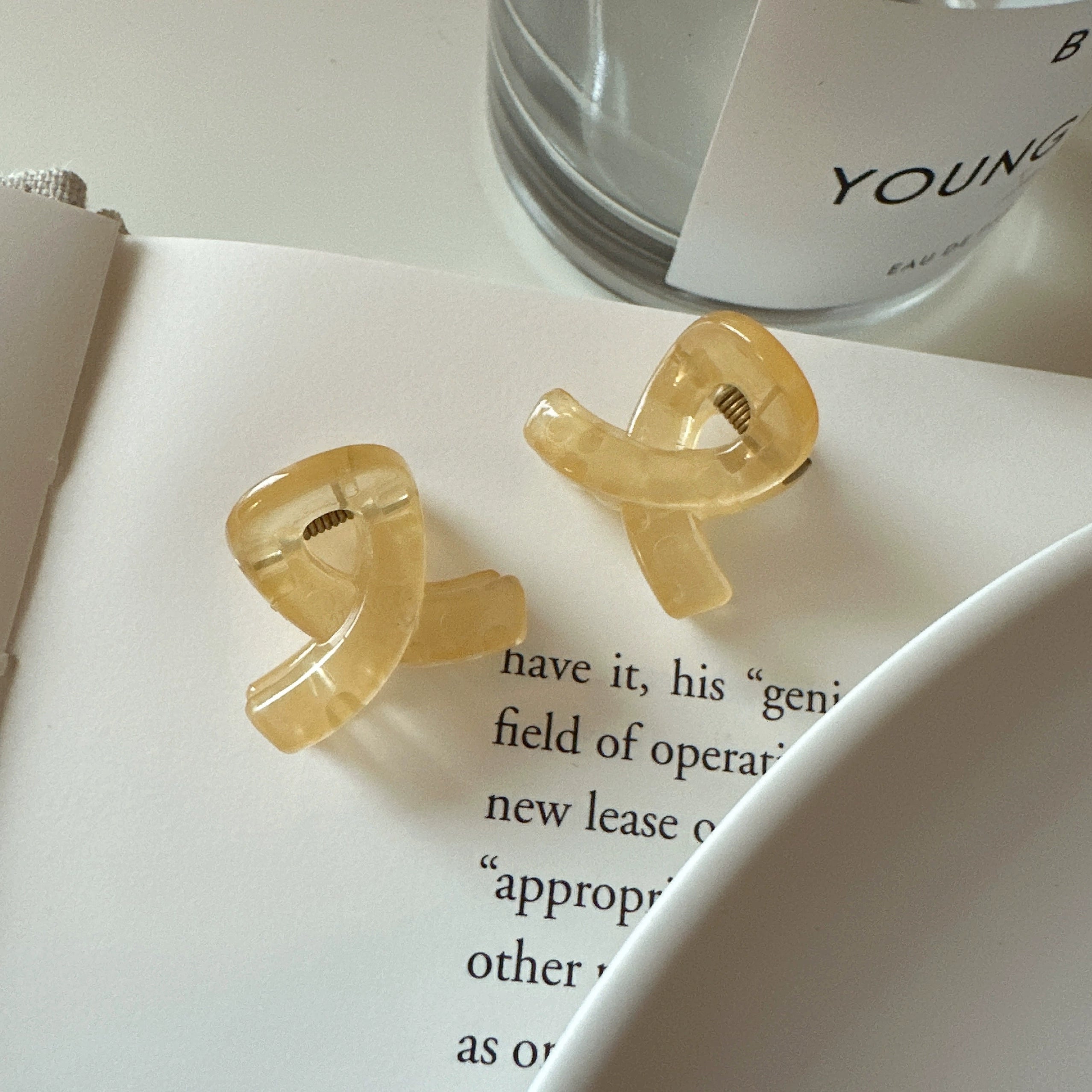 Jaylanie Petite Hair Claw - Beige (Pair) [LO7YCJ4U]