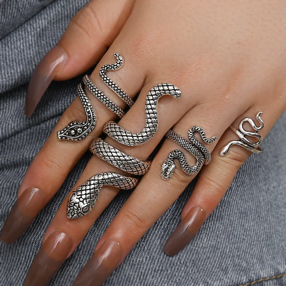 Ryen Statement Snake Ring Set - Silver Tone