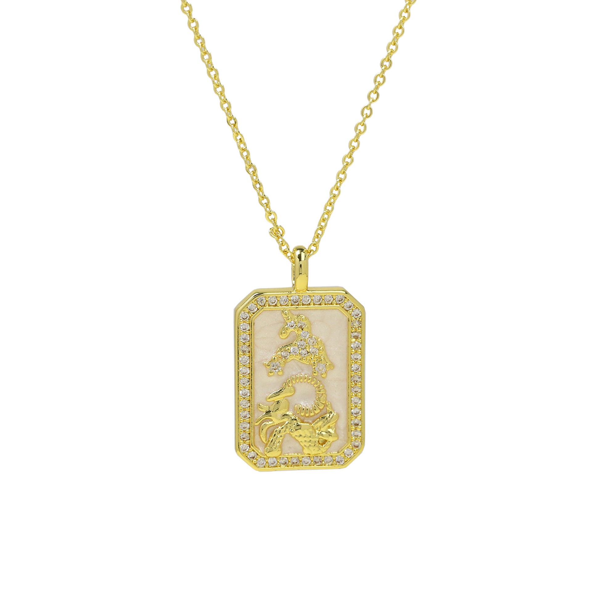 Ravenna Zodiac Square Necklace - Capricorn [IF04JPIC]