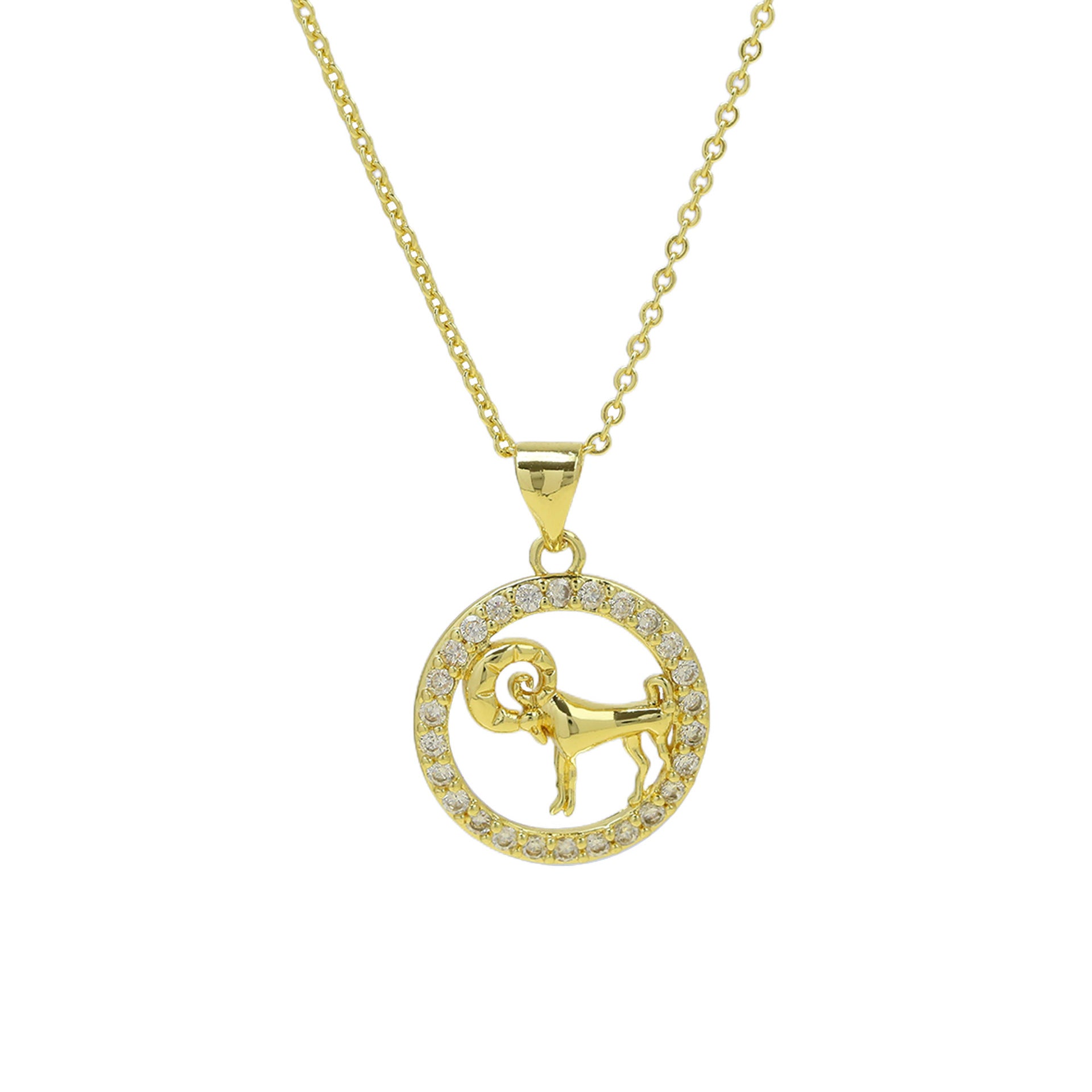 Jaylinn Zodiac Disc Necklace - Capricorn [MTG3C4UR]