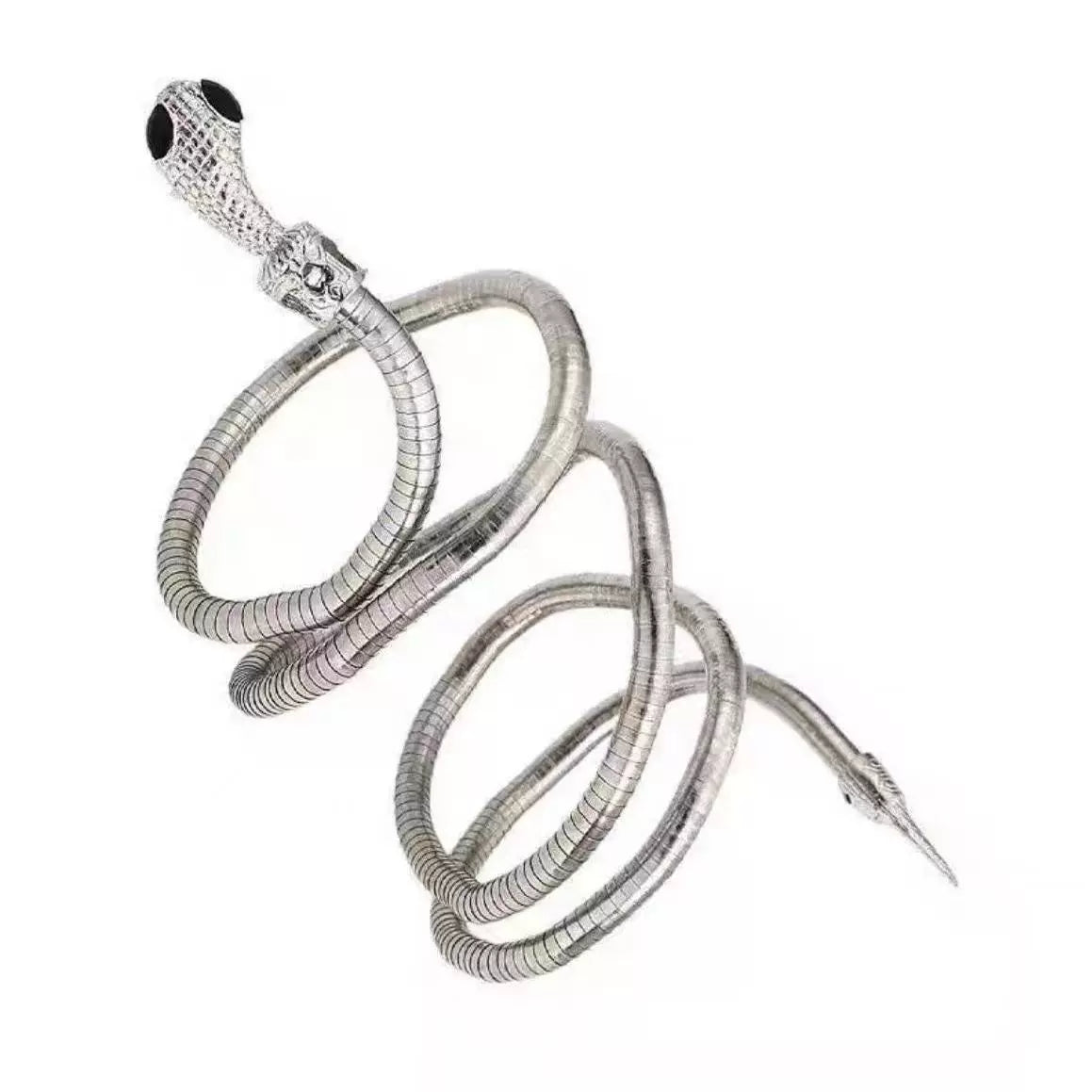 Katalina Serpent Embrace Choker - Silver Plated