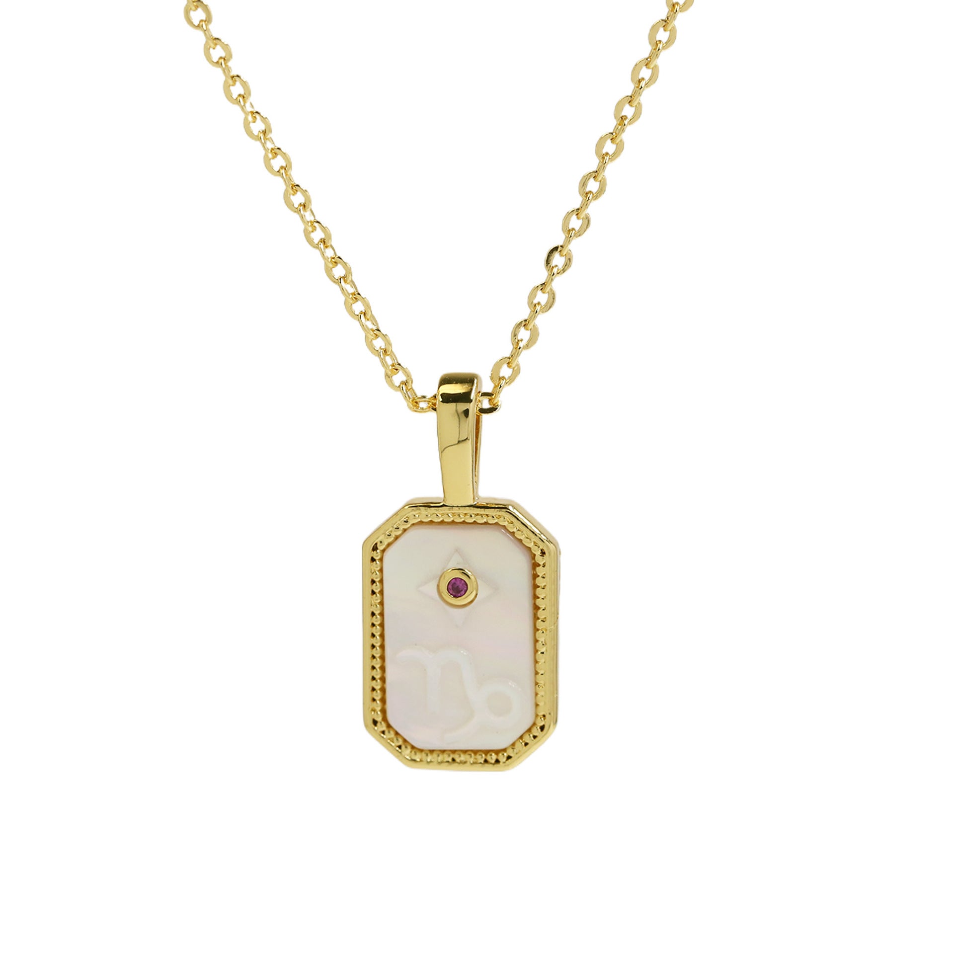Jaslyn Constellation Birthstone Necklace - Capricorn [LCZL3708]
