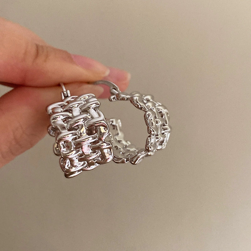 Eleina Braided Metal Earrings - Silver [7D40LYVW]