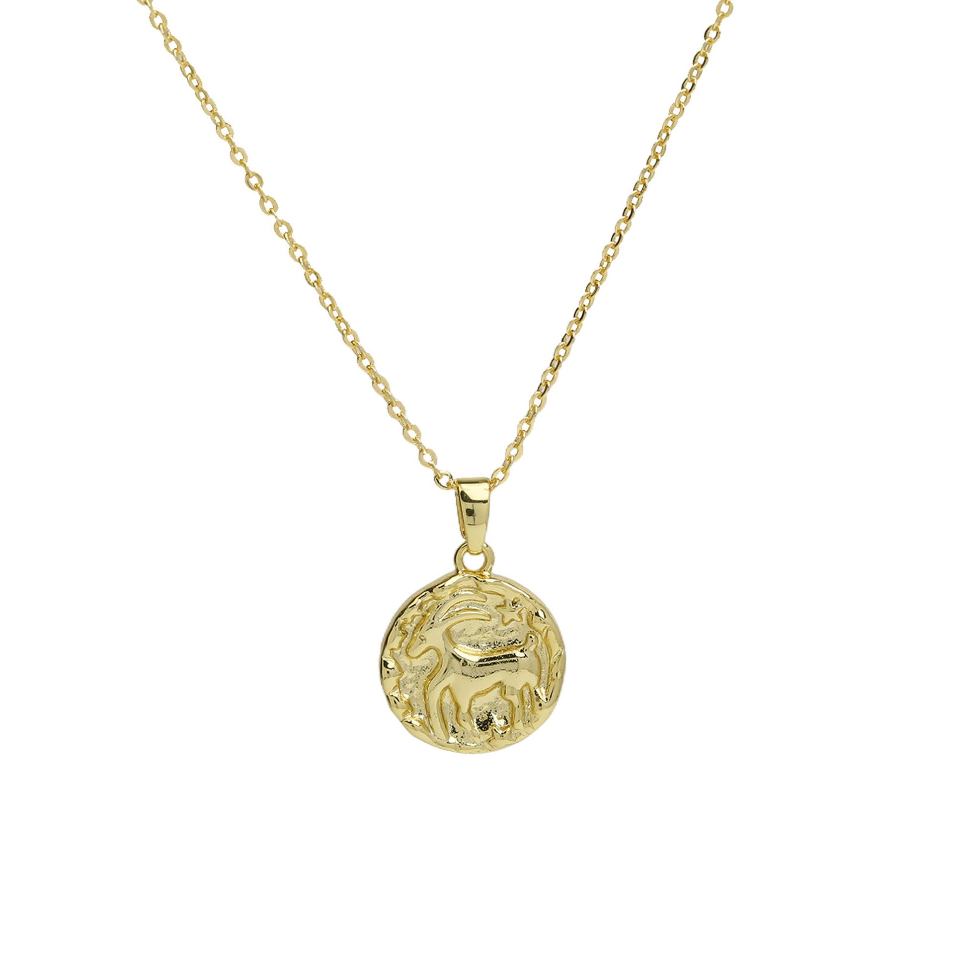 Anayah Zodiac Coin Necklace - Aries [HO9RFY71]