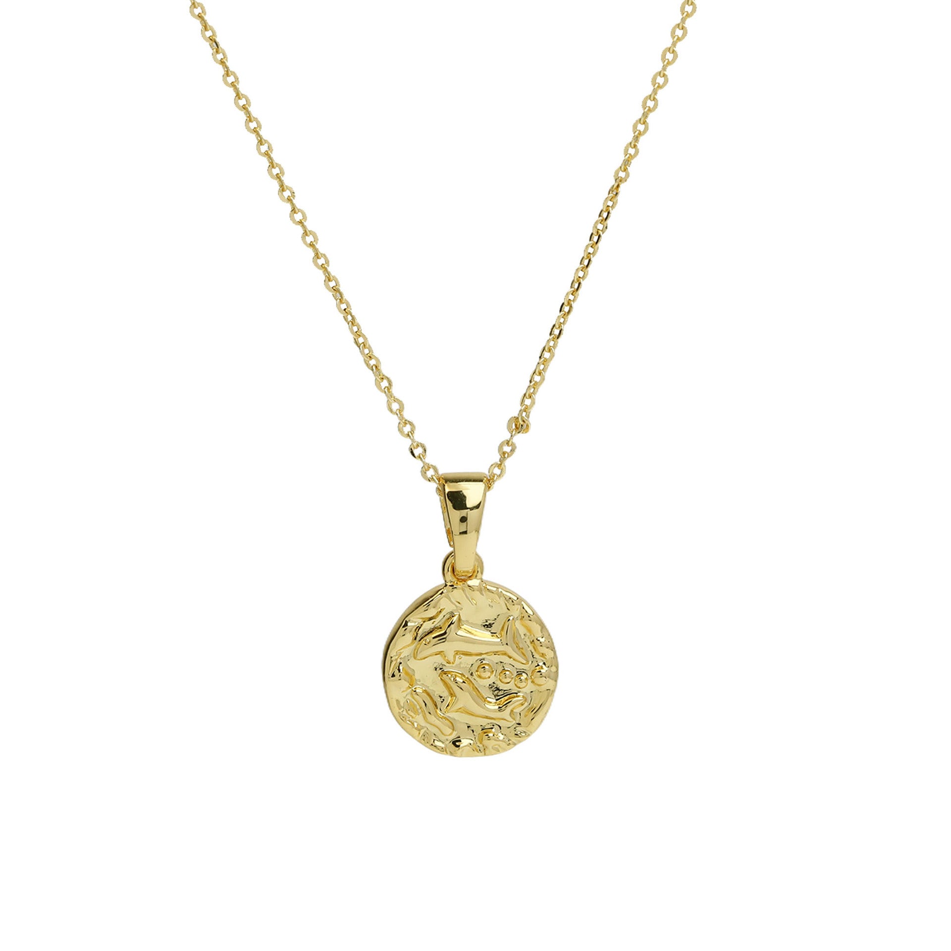 Anayah Zodiac Coin Necklace - Pisces [OMM6E9IE]