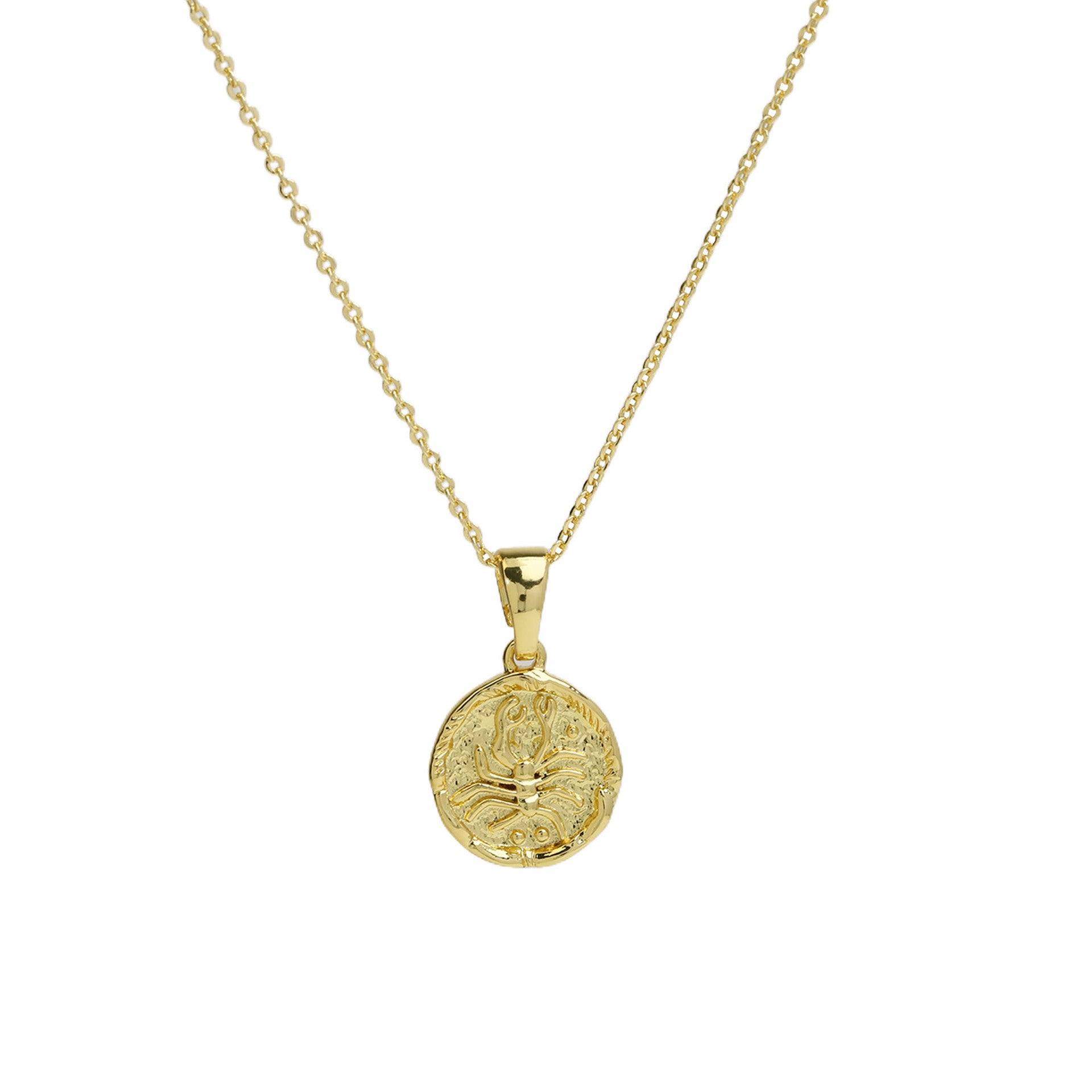 Anayah Zodiac Coin Necklace - Scorpio [DPHWQ4JZ]