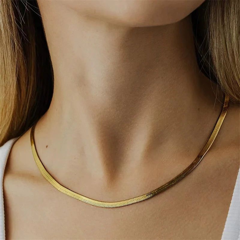 Brynnlee Layered Chain Necklace - Titanium Steel Single Layer Snake Bone Chain