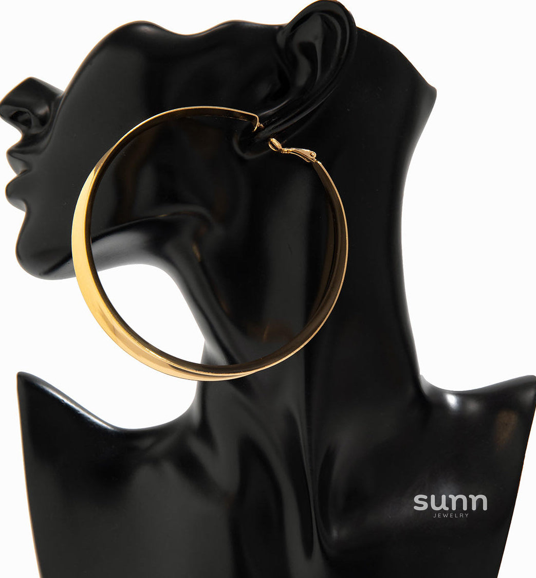 Danielle Shiny Geometric Hoops [TEEX2PLY]