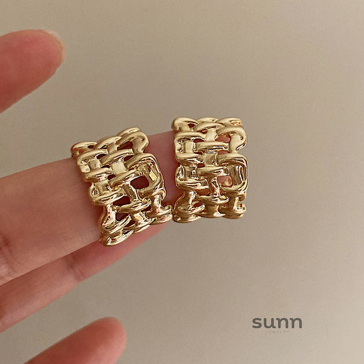 Eleina Braided Metal Earrings [1R425NGM]