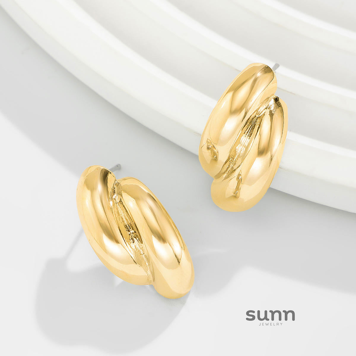 Journey Pleated Drop Earrings [L49WWQ06]