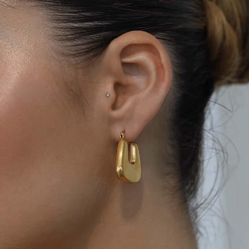 Joyanna Titanium Statement Earrings [LO2R75CO]
