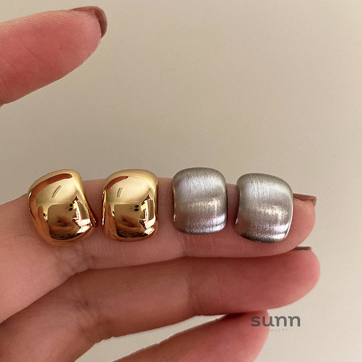 Lakota Brushed Hoop Earrings [B077Z1S1]