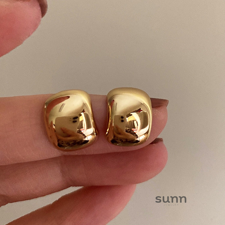 Lakota Brushed Hoop Earrings [6D47MADV]