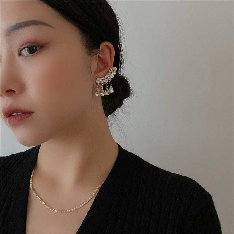 Magaly Crystal Tassel Drop Earrings [CJY83E7G]