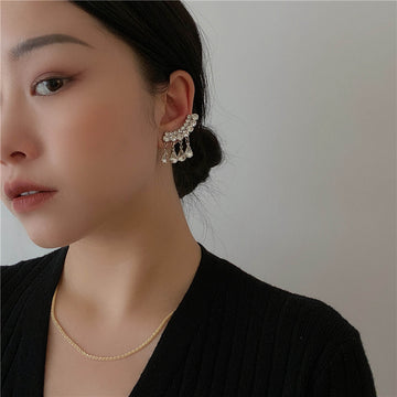 Magaly Crystal Tassel Drop Earrings [CJY83E7G]