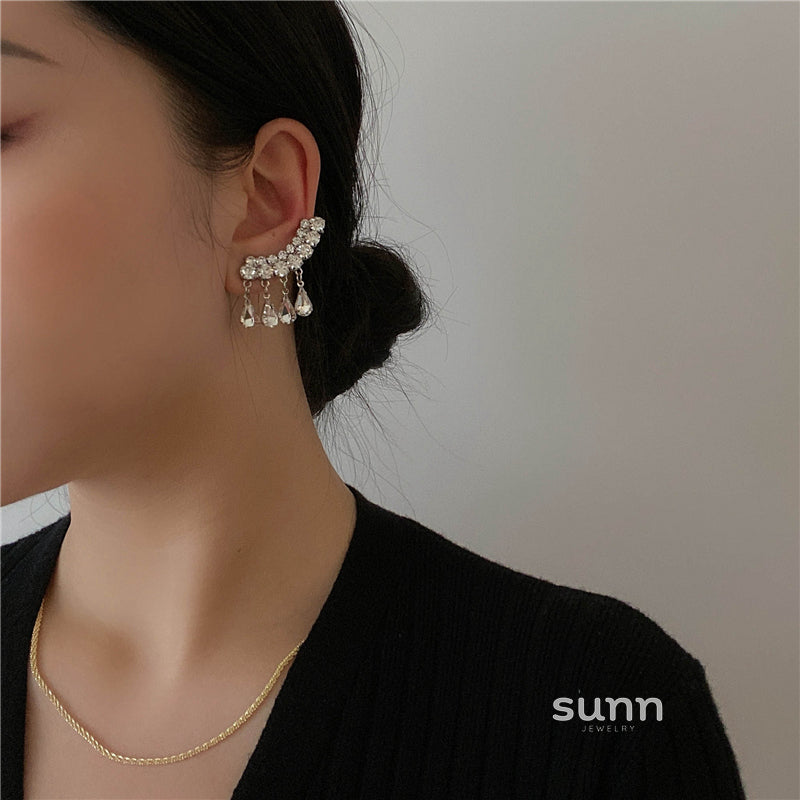 Magaly Crystal Tassel Drop Earrings [WEXFNZOS]