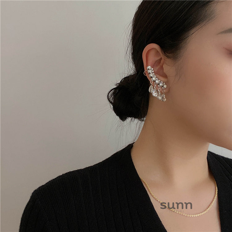 Magaly Crystal Tassel Drop Earrings [V87QEENI]