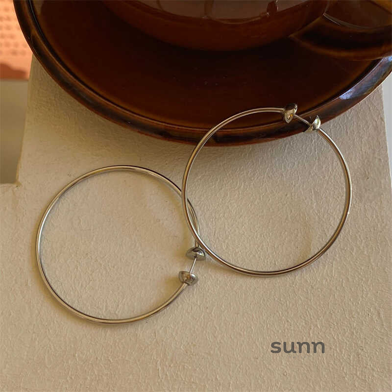 Raeann Titanium Hoop Earrings [RBRQHGTM]